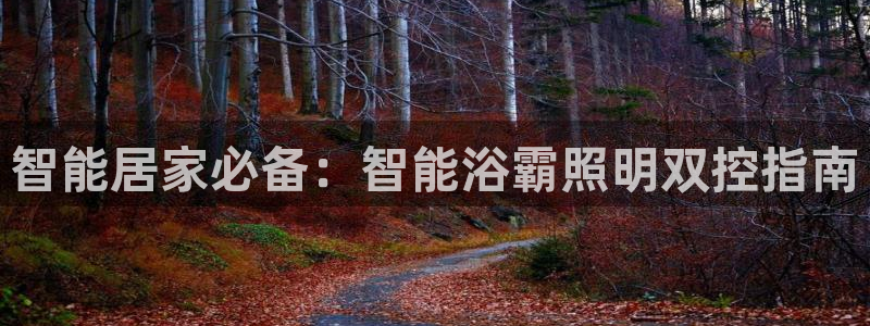 云顶集团简介