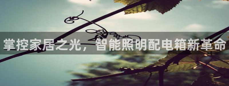 云顶中学国际部
