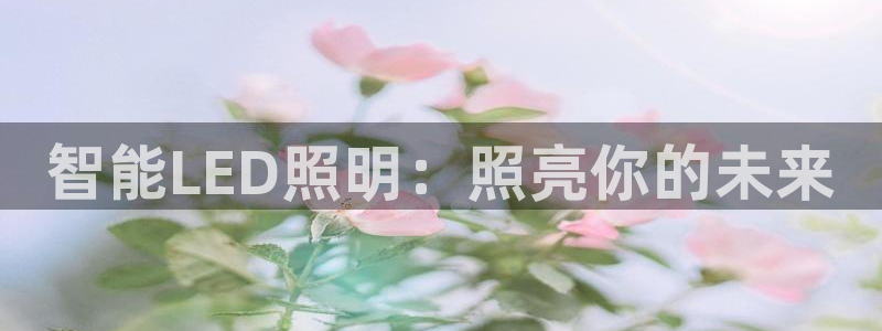 云顶集团3118acm官网