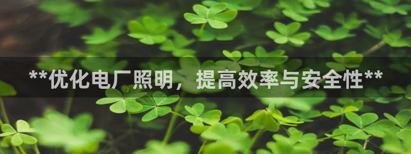 云顶线路快速检测中心