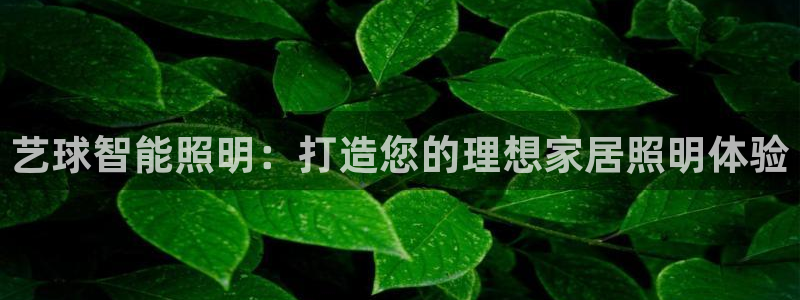 太原云顶国际酒店老板