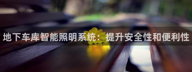 云顶国际部