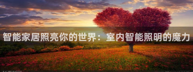云顶国际足球app下载安装