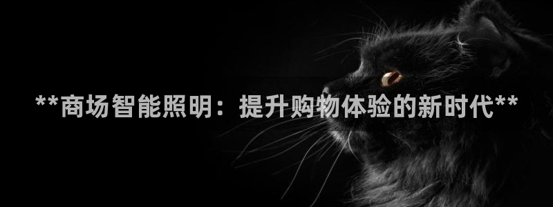 云顶集团有限公司,林东简历