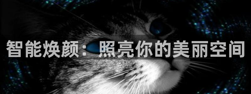 云顶ktv国际会所