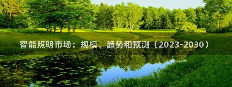 云顶国际电子游戏怎么玩