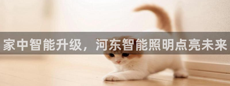 云顶集团有限公司简介图片