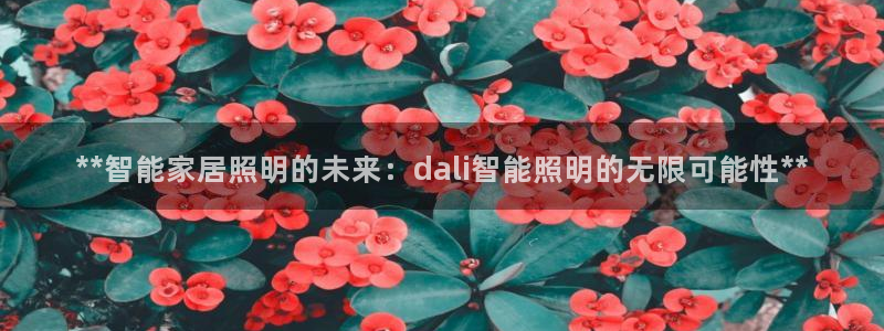云顶国际连接