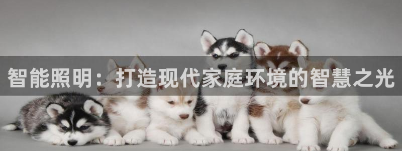 太原云顶国际酒店郝睿