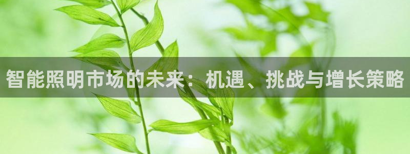 云顶国际集团官网首页入口