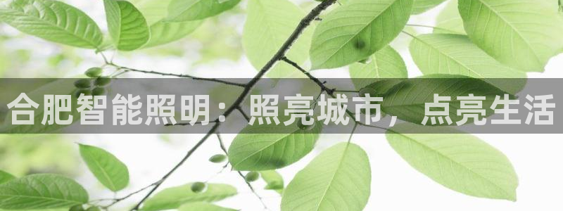云顶国际婚礼大酒店位于哪里