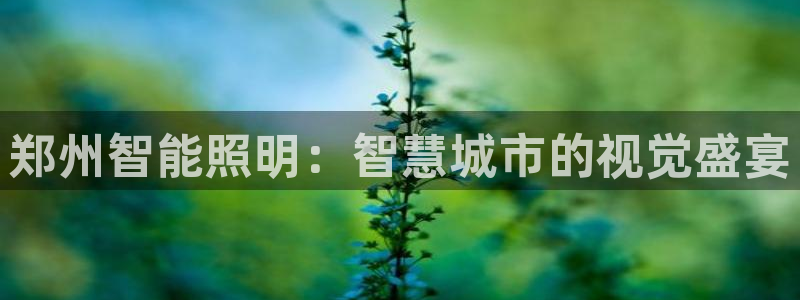 云顶国际商业广场 停车