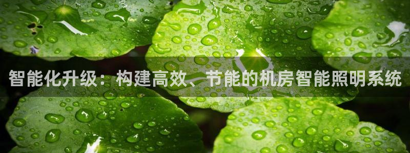 云顶国际平台游戏可靠吗安全吗