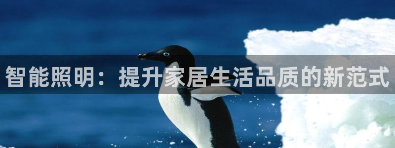 云顶国际大酒店位于哪个街道