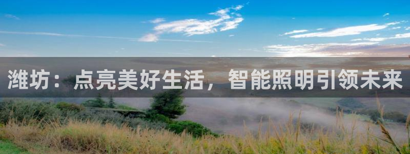 云顶国际版手游