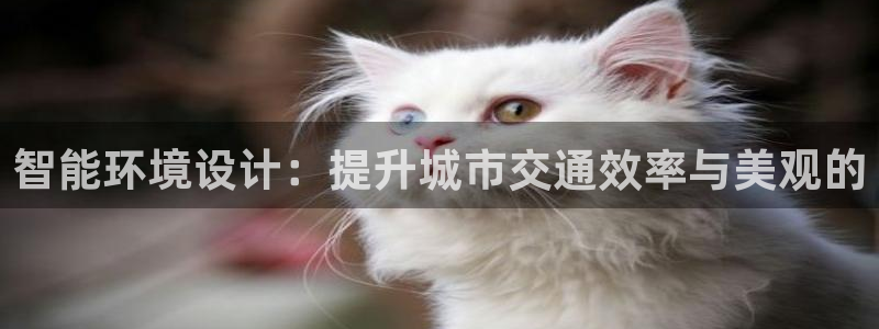 太原云顶国际老板