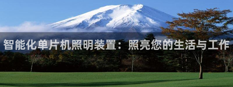 云顶国际服充值