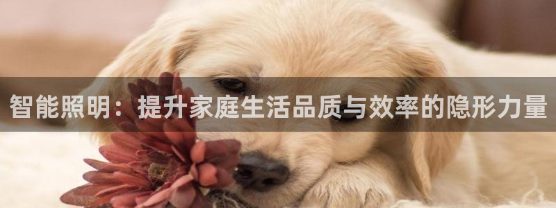 云顶国际服s6