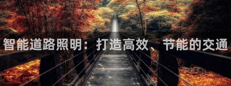 云顶手游国际服什么时候更新4.5：智能道