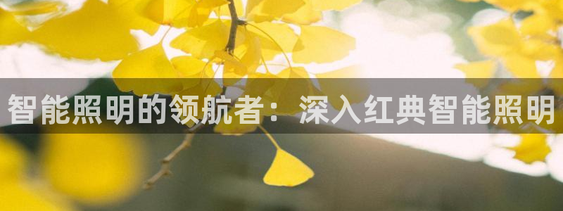 云顶国际怎么才能提现