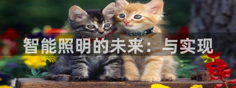 云顶国际集团官网招聘
