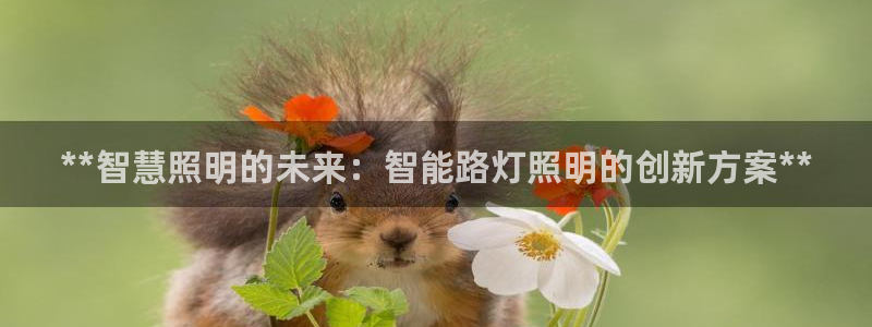 云顶dl