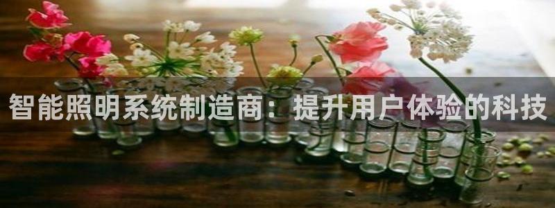 云顶国际服哪个服人多