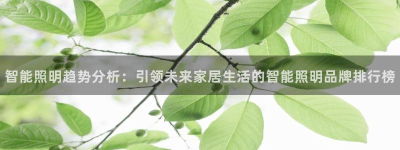 云顶集团有限公司简介电话