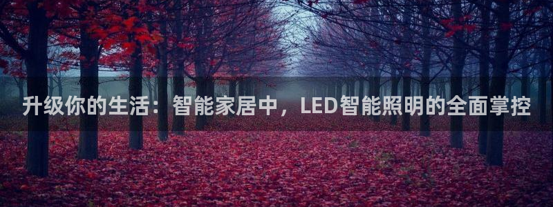 云顶集团有限公司简介资料