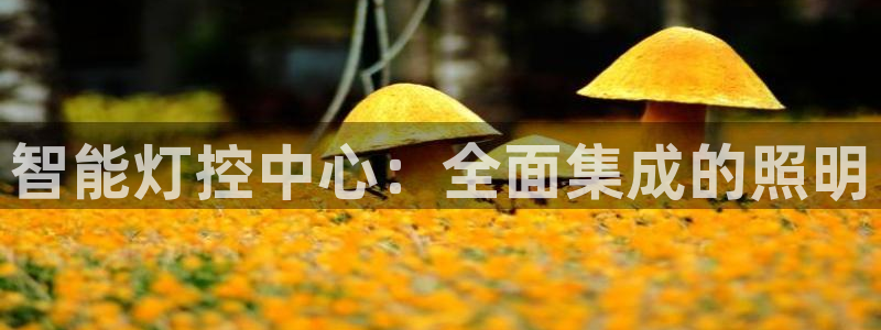 云顶国际