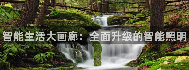 云顶国际太原店