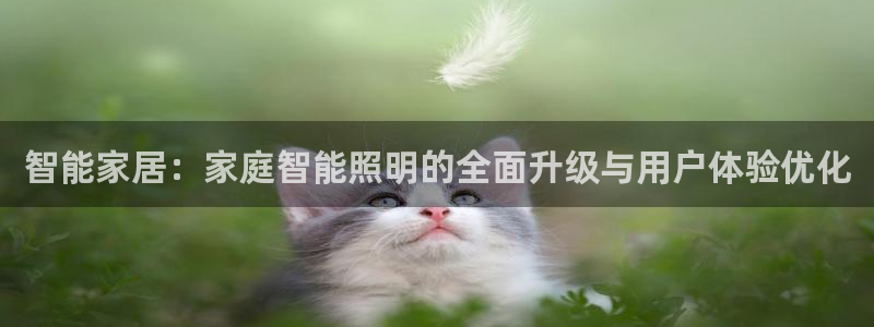 云顶集团3118