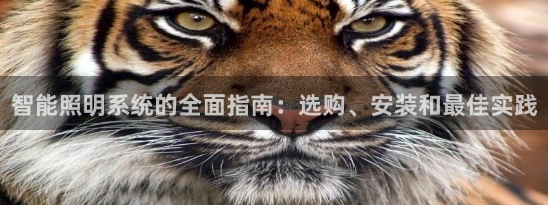 云顶国际贴吧