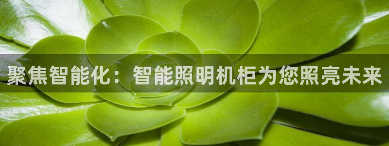 云顶集团3118：聚焦智能化：智能照明机