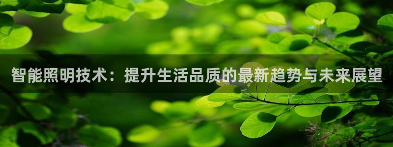 云顶线路快速检测中心