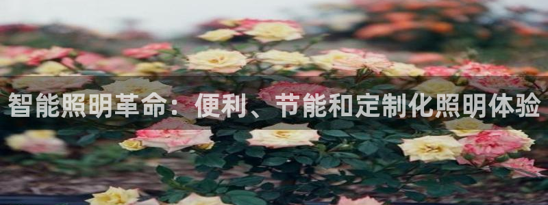 云顶集团最新官方网站入口